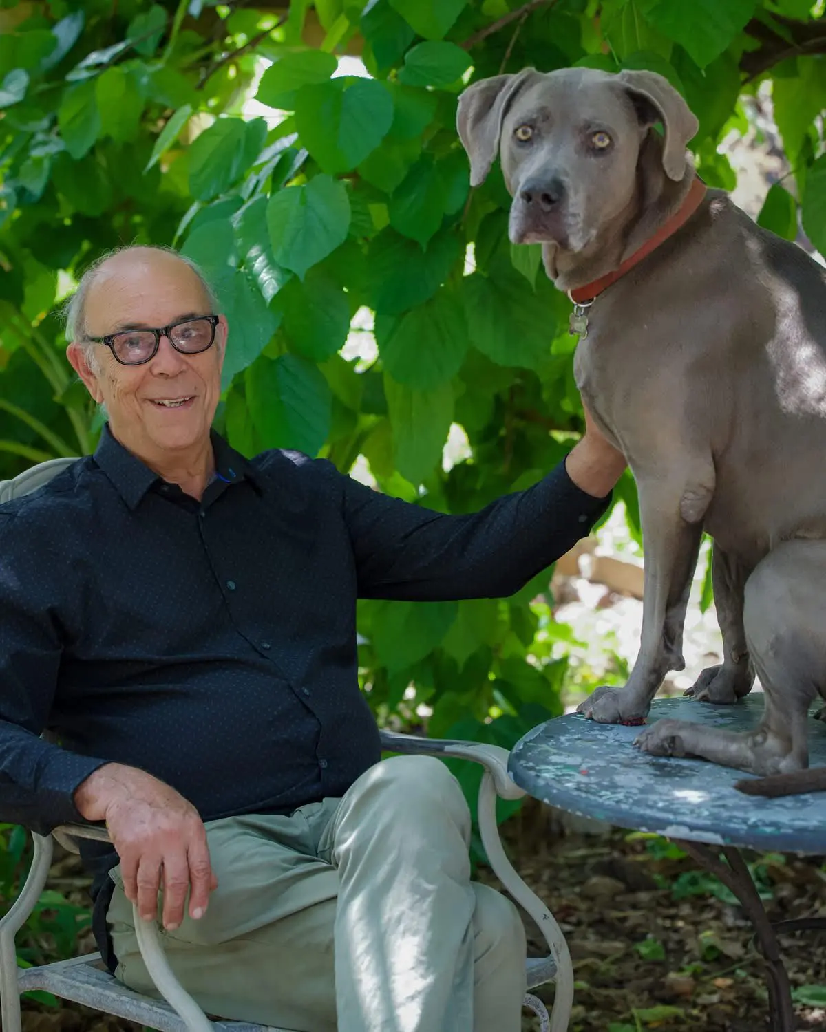Smiling man beside large gray dog on table