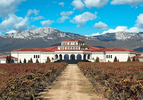 Vineyard with Mediterranean villa and mountain backdrop